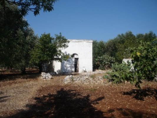 (Cod. Immobile: 844za) - Tipologia: Casolare/Lamia a San Vito Dei Normanni (Brindisi) Puglia
